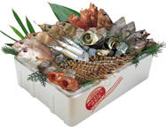 お楽しみ鮮魚詰め合わせ